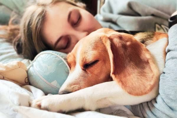 Women Who Share Their Beds With Dogs