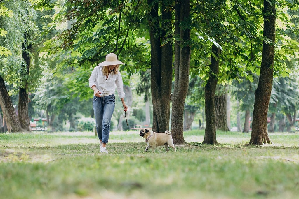 Prairie Wolf Dog Park: Canines Roam,Play In Natural Bliss