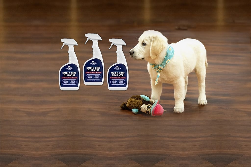 "Best Enzyme Cleaner For Dog Urine Cleaner 2023"