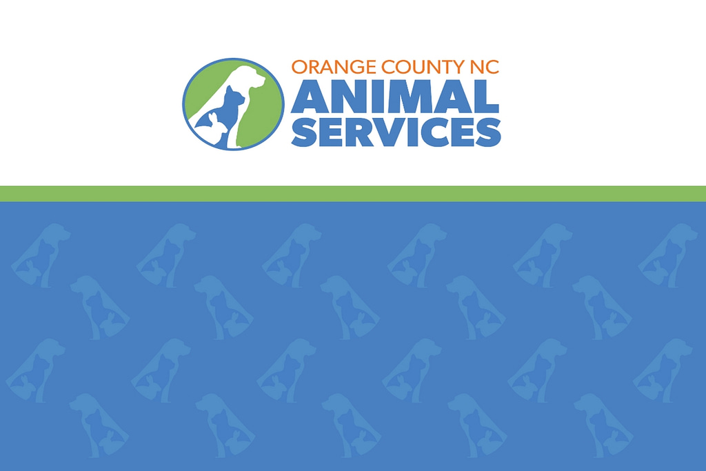 Orange County Animal Shelter Discover The Compassion