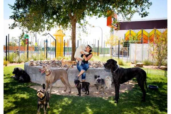 Dog parks in Las Vegas