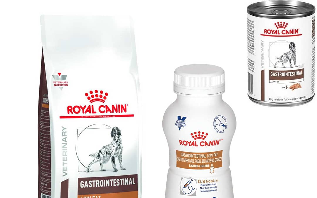 Royal Canin Healthy Digestion And Weight Management