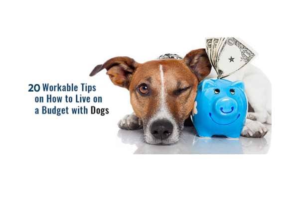 20 Ways To Save On Your Dog’s Expenses