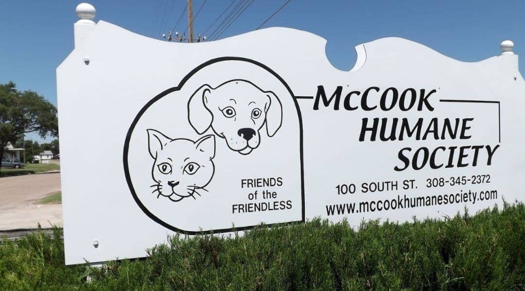 The McCook Humane Society: Where Animals Come First