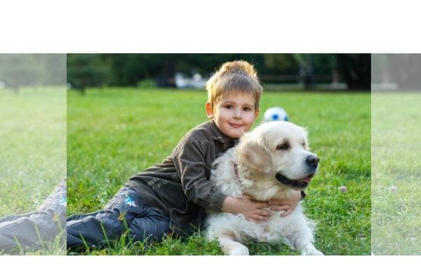 Teaching Kids to be Responsible Pet Ownership