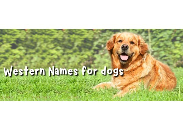 Western Names For Dogs