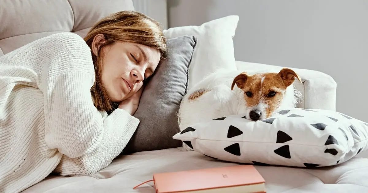 why-dogs-sleep-with-their-bums-facing-you-2023