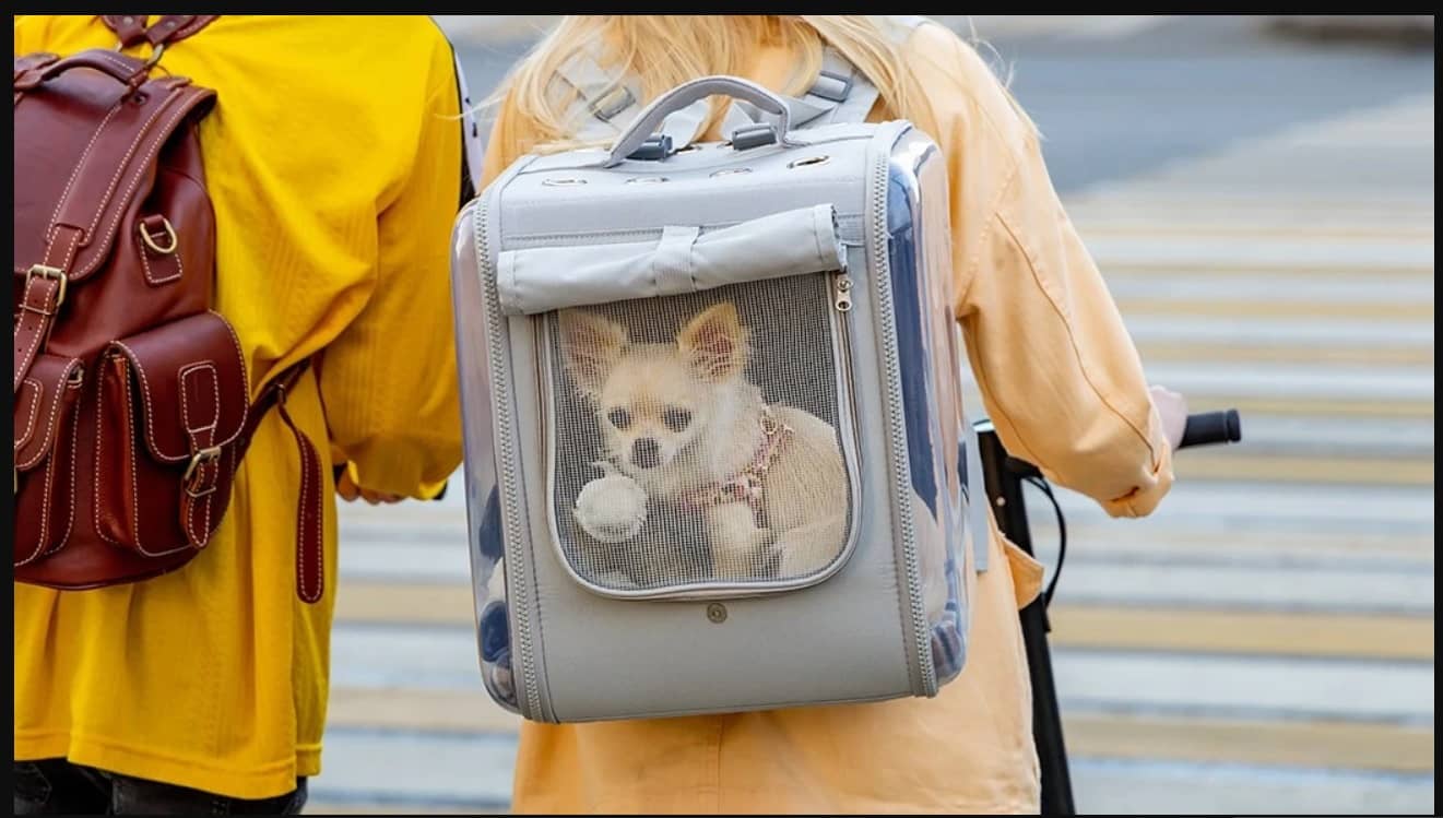 dog carrier backpack