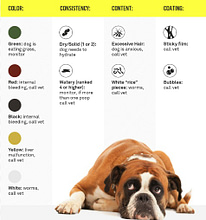 Dog poo decoded: colour, consistency and smell (with charts!)