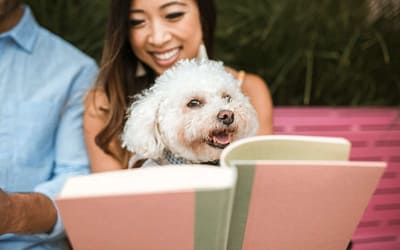 5 sorprendentes ventajas de adoptar un perro