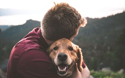 Le guide ultime de l’adoption d’un chien : Trucs, astuces et conseils indispensables