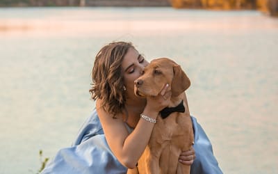 Adoptar un perro: Dar un hogar a un perro necesitado