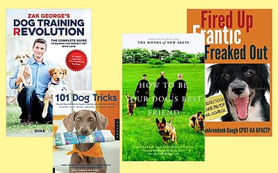 Explore the Top Dog Training Books for Effective Pet Education