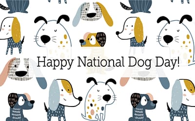 When is national Dog rescue day? 10 things to make a difference in your community