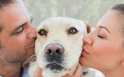 4 Reasons Millennials Adopt Dogs Instead Of Having Kids