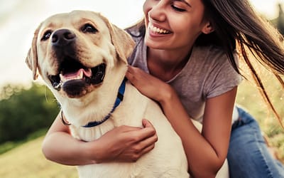 5 Studies That Prove Dogs show Empathy