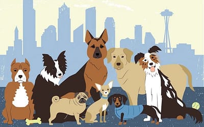 Seattle Dogs: Everything You Need to Know About Raising a Happy and Healthy Pup in the Pacific Northwest