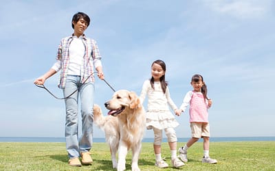 Family Dogs: Unleashing the Joy of Owning a Loving and Loyal Companion