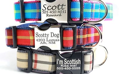 Plaid Dog Collar: For Your Stylish Pup