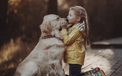 Train Your Dog To Be Safe With Kids