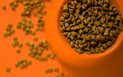 The Benefits of Exclusive Dog Food