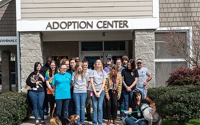 The Aiken SPCA: Giving Amazing Animals a Second Chance