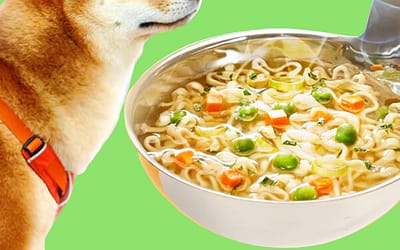 Can Dogs Eat Noodles? Unveiling the Nutritional Potential and Safety for Canine Consumption!