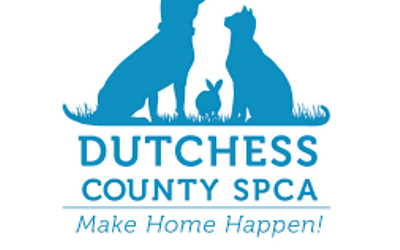 Giving Hope to Animals: Exploring the Lifesaving Work of Dutchess County SPCA