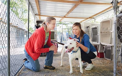 Transforming Lives: First State Animal Center And SPCA – Empowering Hope, Compassion, and Joy