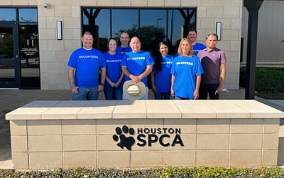 Houston SPCA: A Beacon of Hope for Abandoned Animals