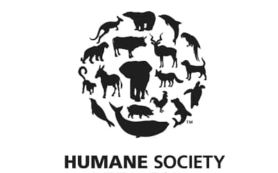 Humane Societies: Beacons of Hope for Animals in Need