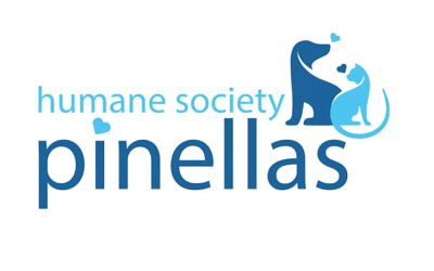 The Healing Power of Animals: Humane Society Of Pinellas’ Impact