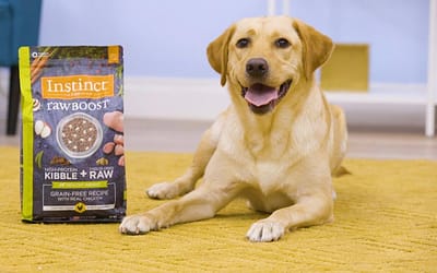 Instinct Dog Food: The Natural Choice for Your Pup