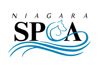 Unleashing Compassion: The Inspiring Journey of Niagara County SPCA