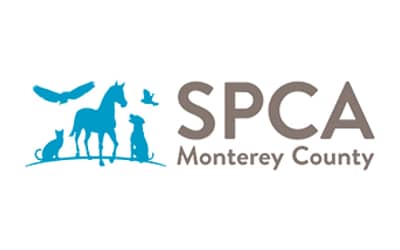 SPCA Monterey County: Giving Furry Friends Forever Homes