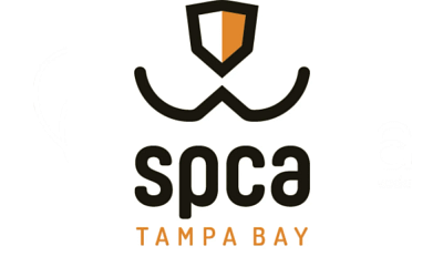 Spca Tampa Bay: Championing for Animal Rights