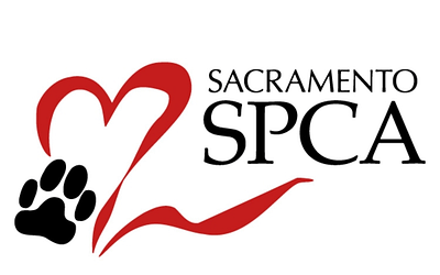 SAC SPCA: Second Chances for Incredible Animals
