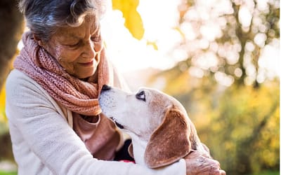 Adopt A Senior Pet: Find Your Perfect Match In 60 Seconds!