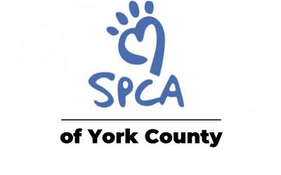 York County SPCA: Advocating for Animal Rights