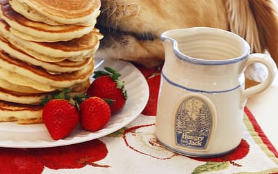 Can Dogs Eat Pancakes? Delight Your Pet with this Tasty Treat!