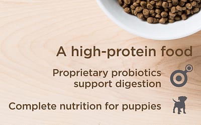 Discover the Benefits of Diamond Puppy Food for Your Growing Dog