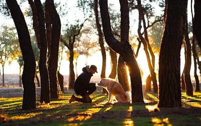 Dog Park Revelations: A Life Lesson Unleashed