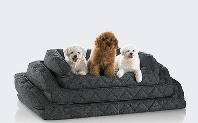 Waterproof Dog Bed: Discover the Ultimate Comfort for Your Furry Friend