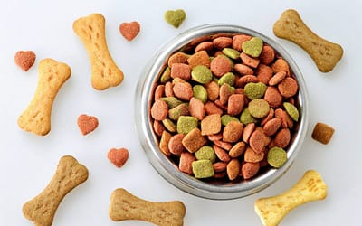 Pure Balance Dog Food: Optimal Nutrition for Vibrant Health
