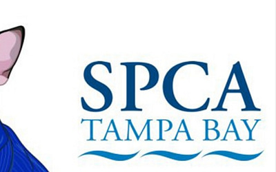 SPCA Tampa: Providing Care and Compassion to Animals in Need
