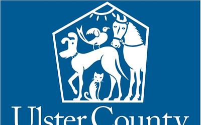 Ulster County SPCA: Finding Loving Homes for Animals in Need
