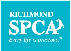 Experience the Power of Compassion at Richmond SPCA