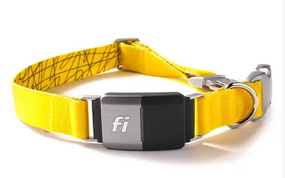 Discover the Power of Fi Collar: Keeping Your Dog Safe and Connected