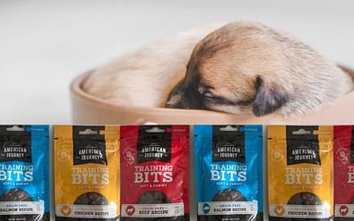 American Journey Beef, Salmon, and Chicken Recipe Grain-Free Soft & Chewy Training Bits Variety Pack Dog Treats Review [2023]