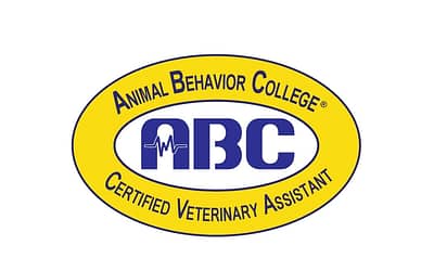 Animal Behavior College: The Best Way to Train Your Pet